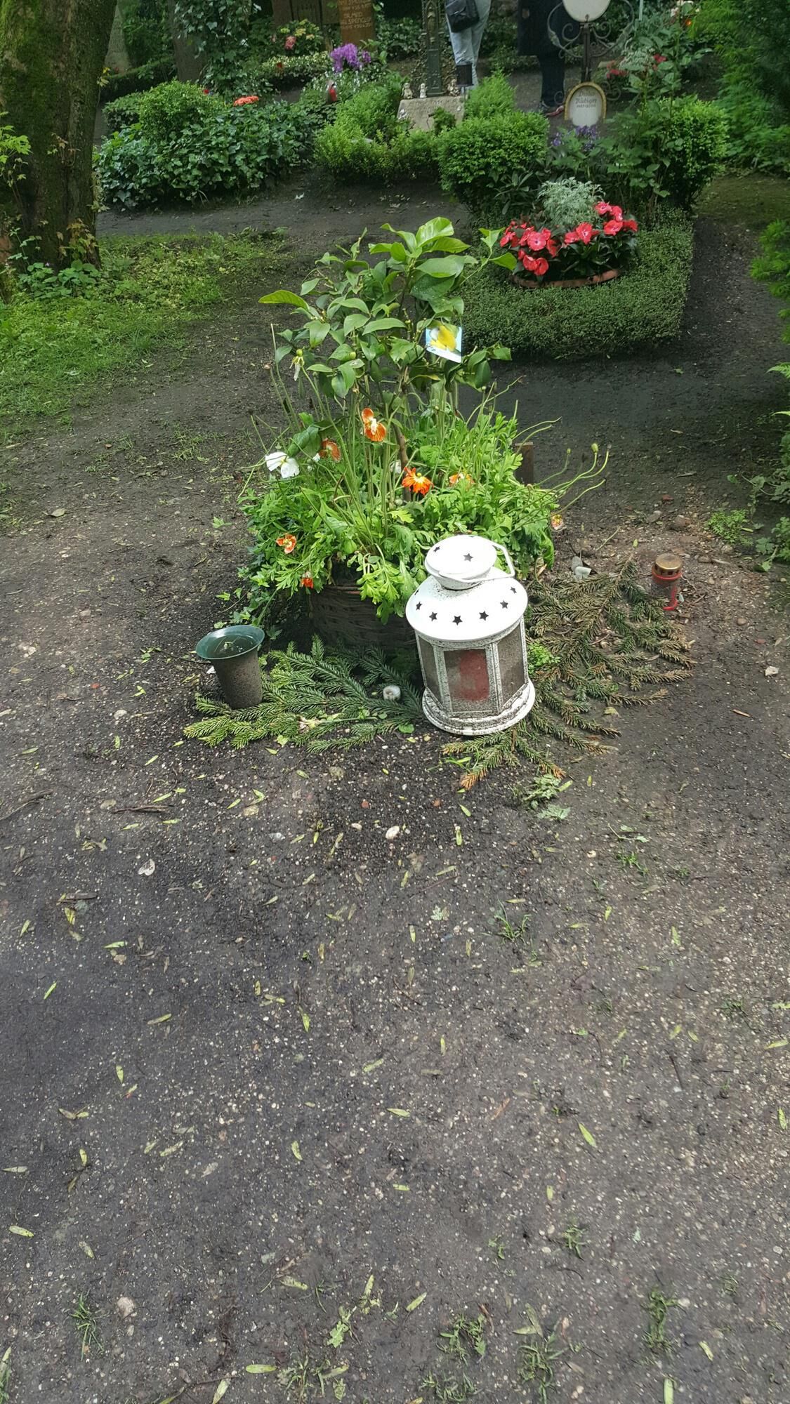Das Grab des großen Regisseurs Helmut Dietl auf dem Bogenhausener Friedhof.